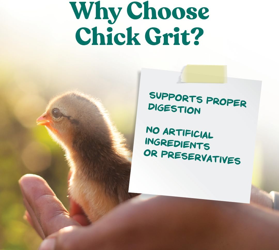 Back label details of Manna Pro chick grit with probiotics guaranteed analysis and feeding directions