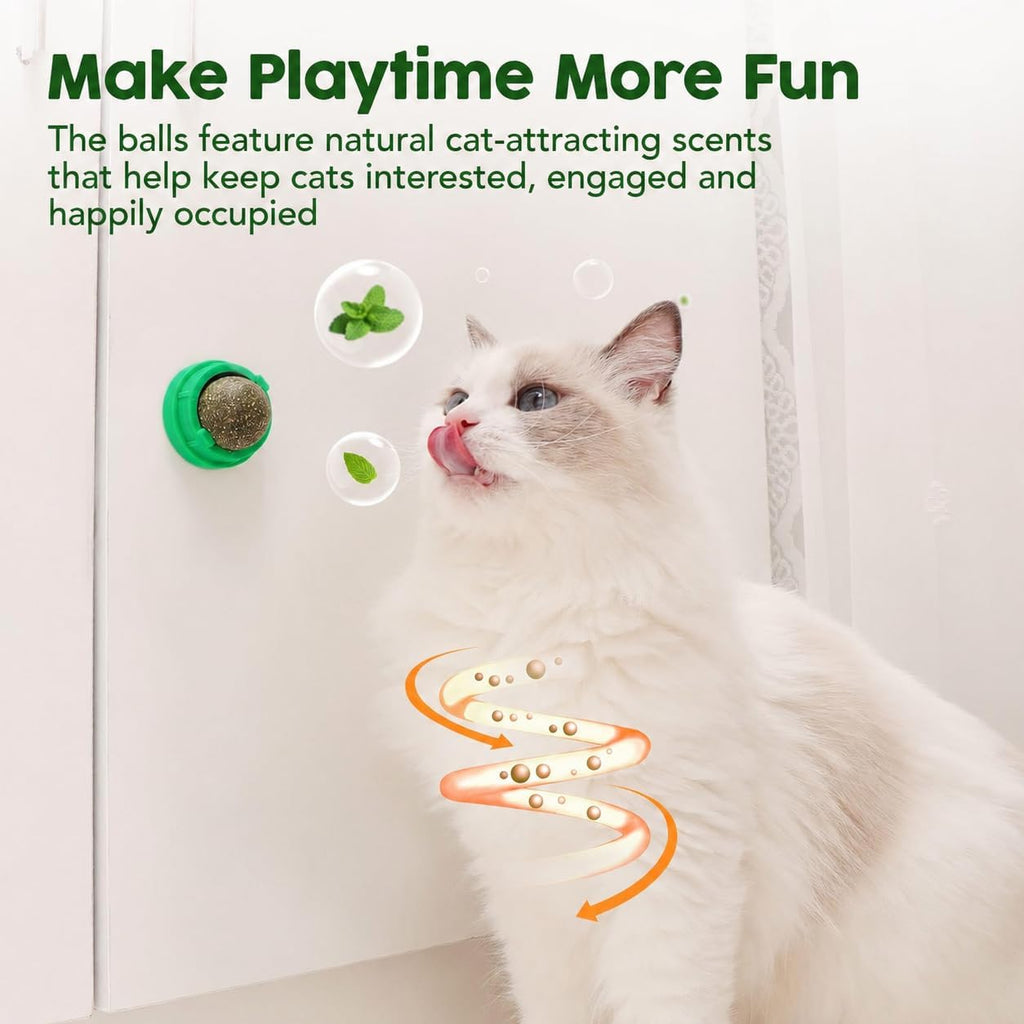Potaroma cat toy mounted on home wall surface