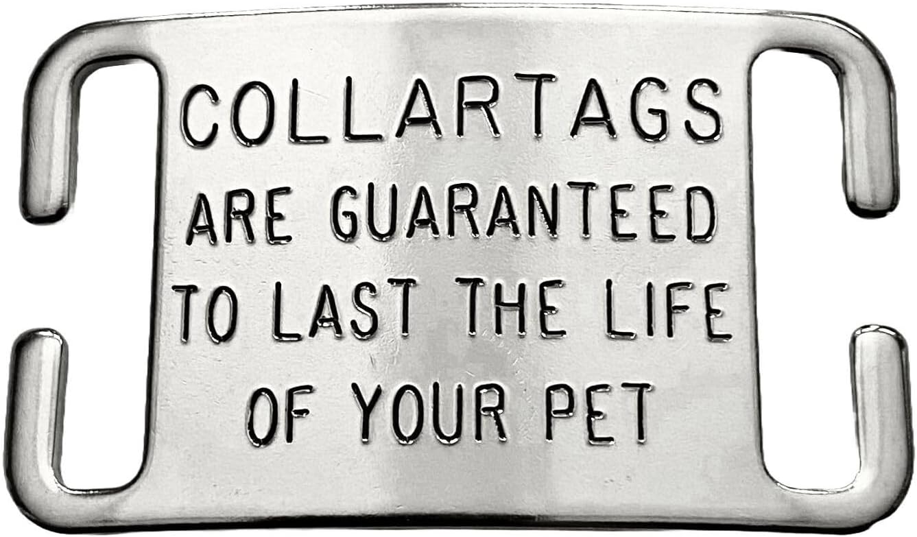 Durable non magnetic custom engraved pet ID for large dogs.