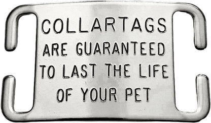 Durable non magnetic custom engraved pet ID for large dogs.
