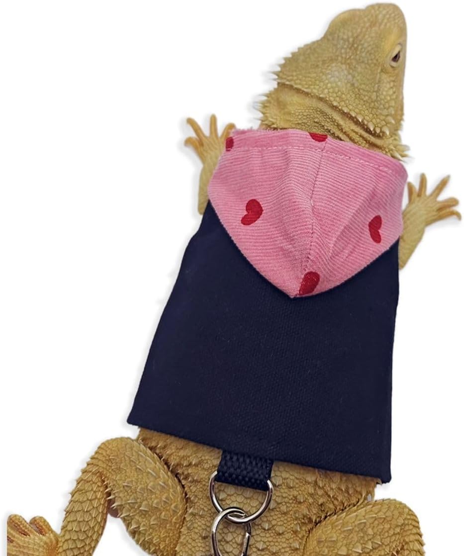 Authentic imported reptile sweater clothing set for bearded dragons.