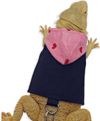 Authentic imported reptile sweater clothing set for bearded dragons.