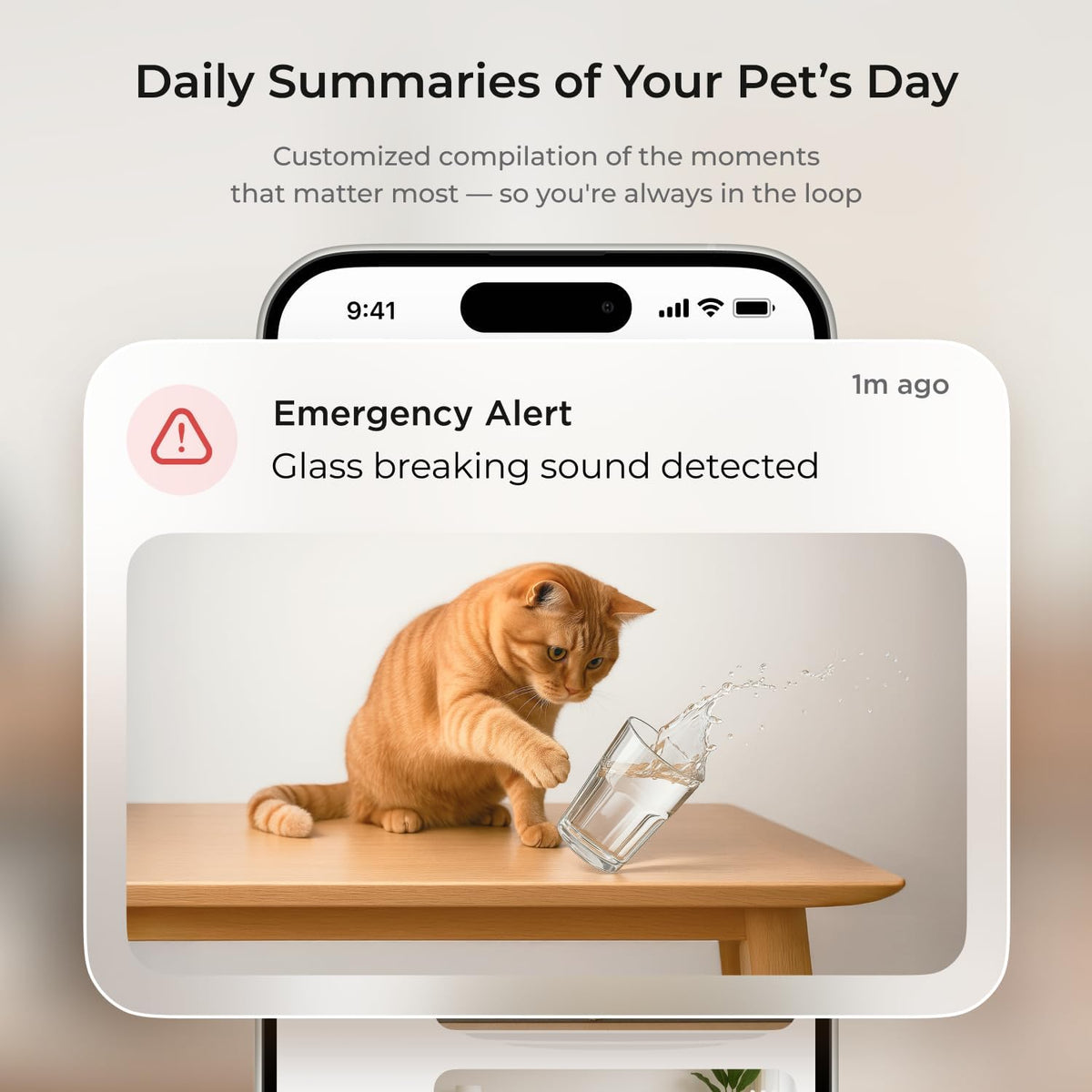 Petcube smartphone application interface showing live ten eighty pixel video feed