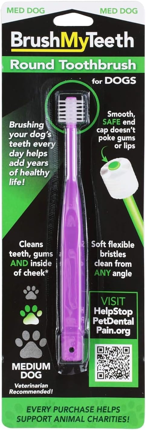 Brush My Teeth Big Dog Toothbrush, Rounded Brush Head with Soft Flexible Bristles for Safe and Gentle Brushing for Dogs, Any Large Breed or Puppy, Daily Brushing Adds Years of Healthy Life - Image 10
