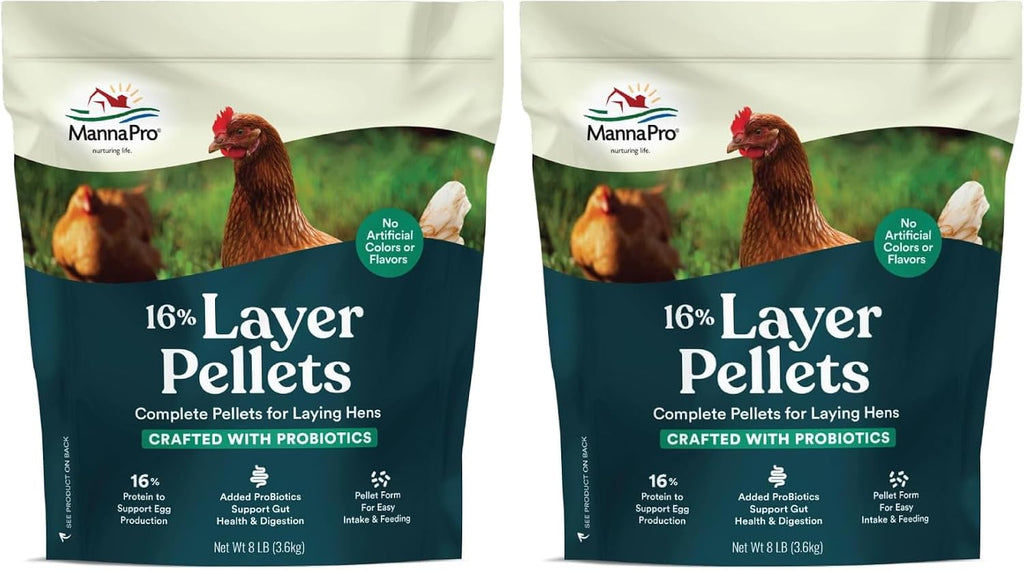 Group of laying hens with Manna Pro feed container