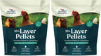 Group of laying hens with Manna Pro feed container