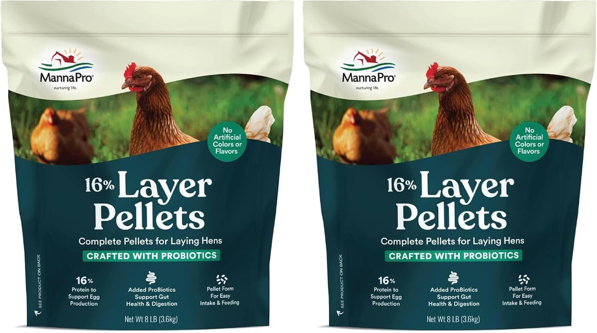 Group of laying hens with Manna Pro feed container