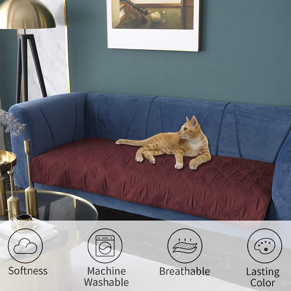 A dog resting comfortably on the water resistant Ameritex couch protector