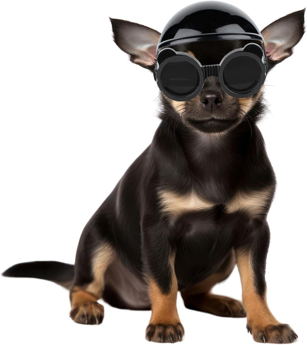 Enjoying Dog Helmets for Small Dogs, Pet Helmet for Cat Tiny Dogs Head Protection, Puppy Bike Helmet, Extra-Small Doggie Helmets Outdoor Motorcycling Travelling Exploring, Adjustable, S - Image 9