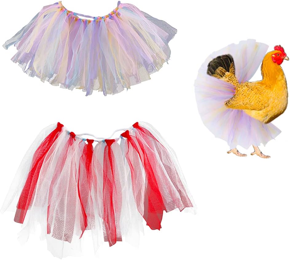 DQITJ chicken tutu skirt front view on a hen