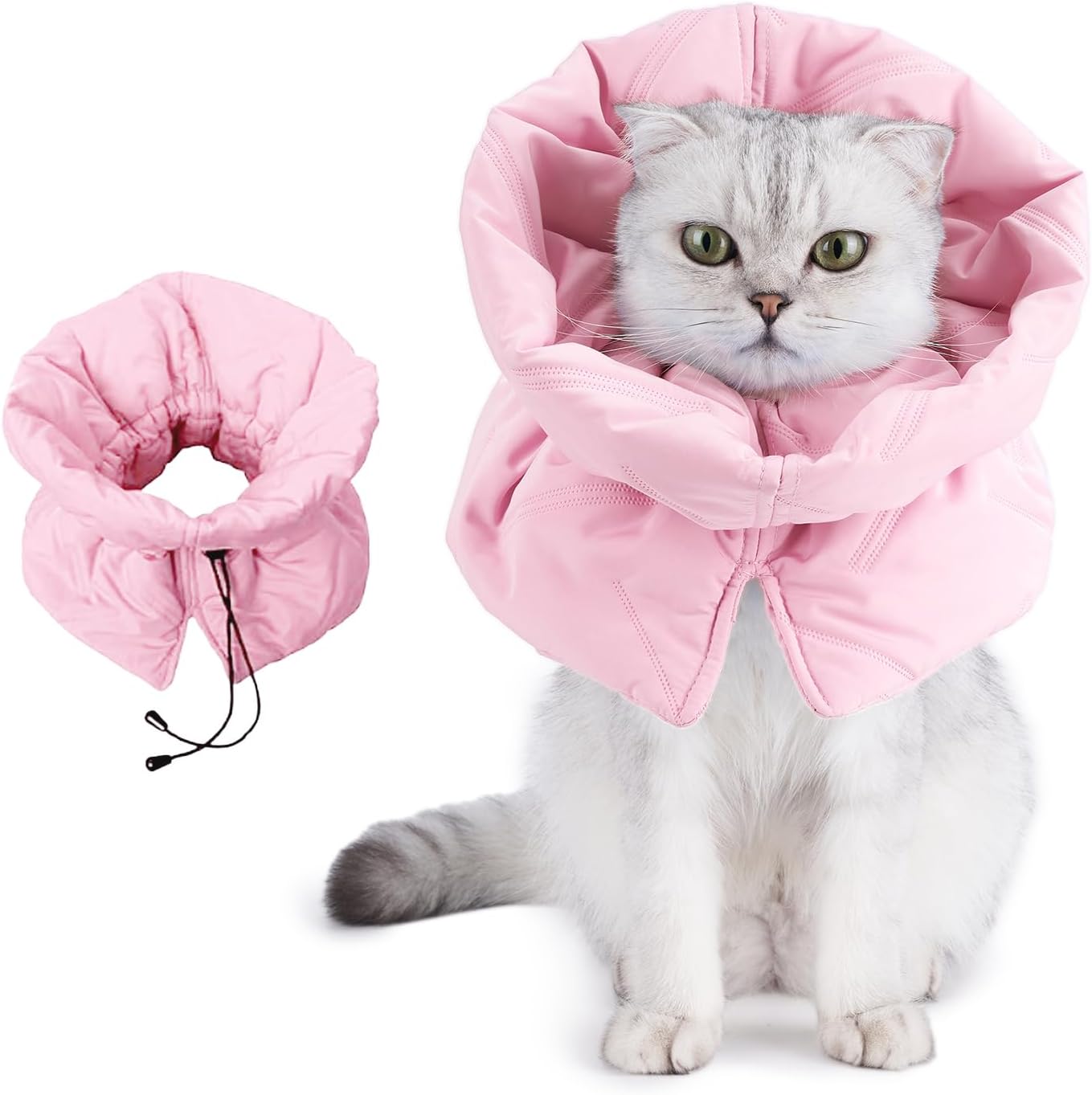 Side view of Leotrag waterproof cat recovery collar on a kitten
