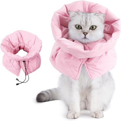 Side view of Leotrag waterproof cat recovery collar on a kitten
