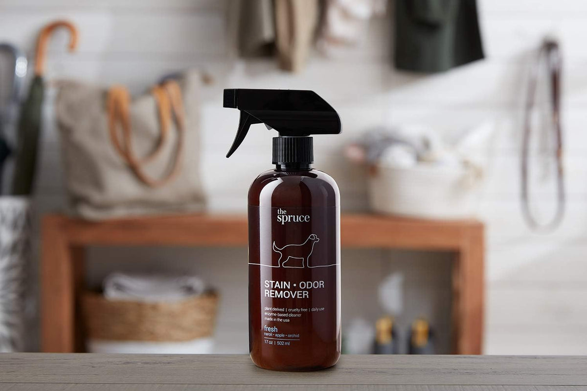 The Spruce Pet Stain And Odor Remover back label showing ingredient details.