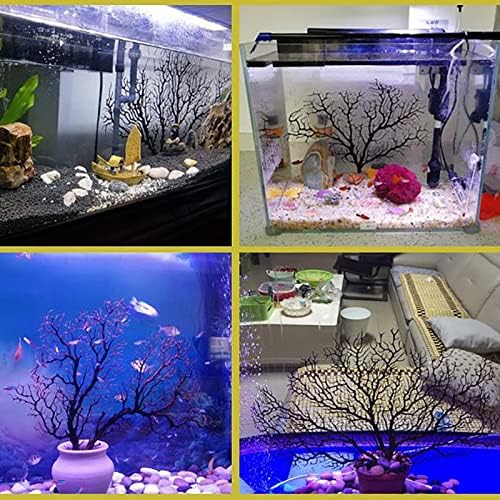 Small community fish swimming safely around the Tfwadmx non-toxic sea fan decor.