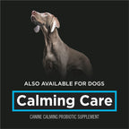 Imported feline anxiety and behavioral support supplement for Indian pet parents