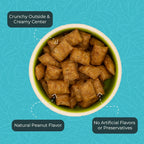 ZuPreem Healthy Bites crunchy peanut flavored bird snack