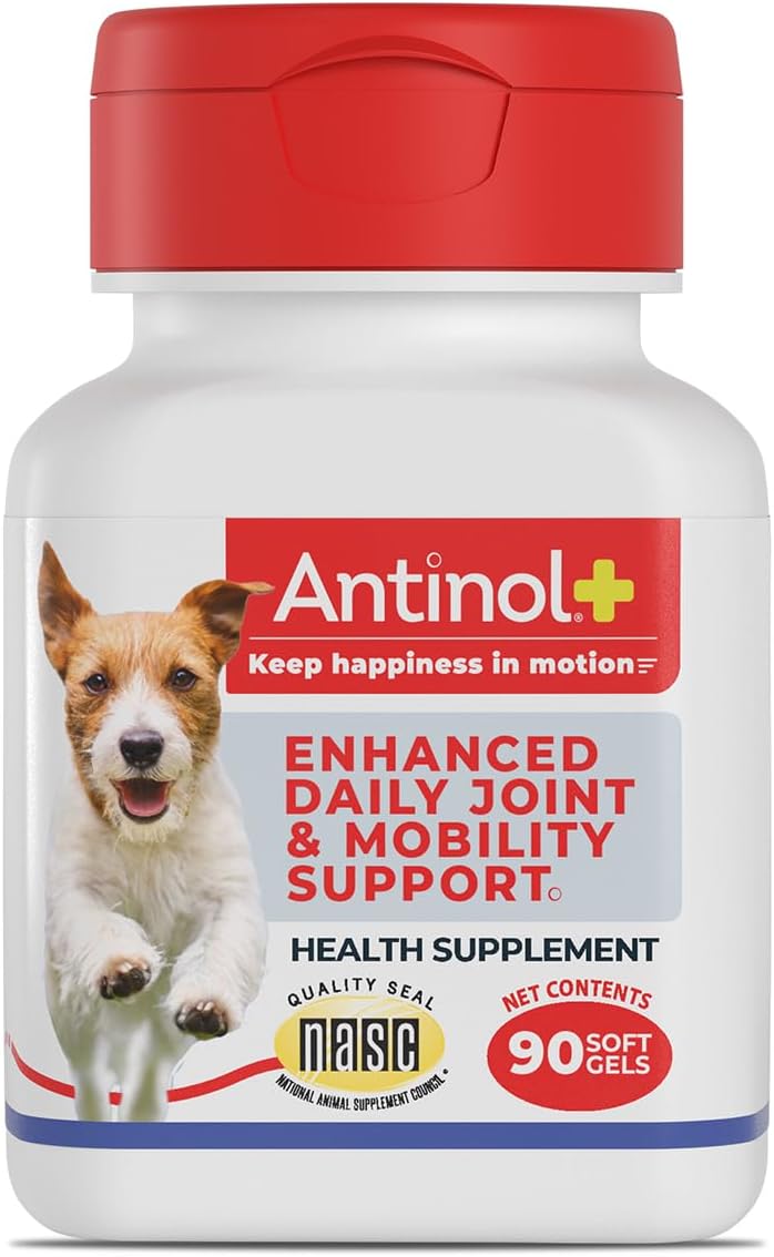 Antinol Plus, Mobility, Hip, and Joint Supplement for Dogs, Green-Lipped Mussels and Krill Oil - Dog Joint Supplement, Better and Faster Than Glucosamine and Chondroitin, 120 Soft Gels - Image 12