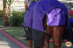 Hilason premium equine winter protection blanket with fleece wither padding