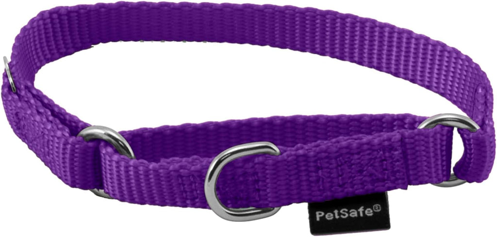 PetSafe dynamic tightening loop detail on blue martingale collar