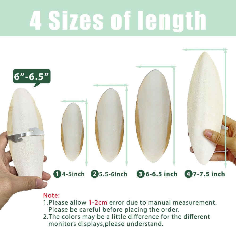 Mivofun cuttlefish bone paired with metal cage holder accessory