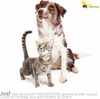 Washable stainless steel comb showing safe rounded edges for sensitive pet skin grooming.