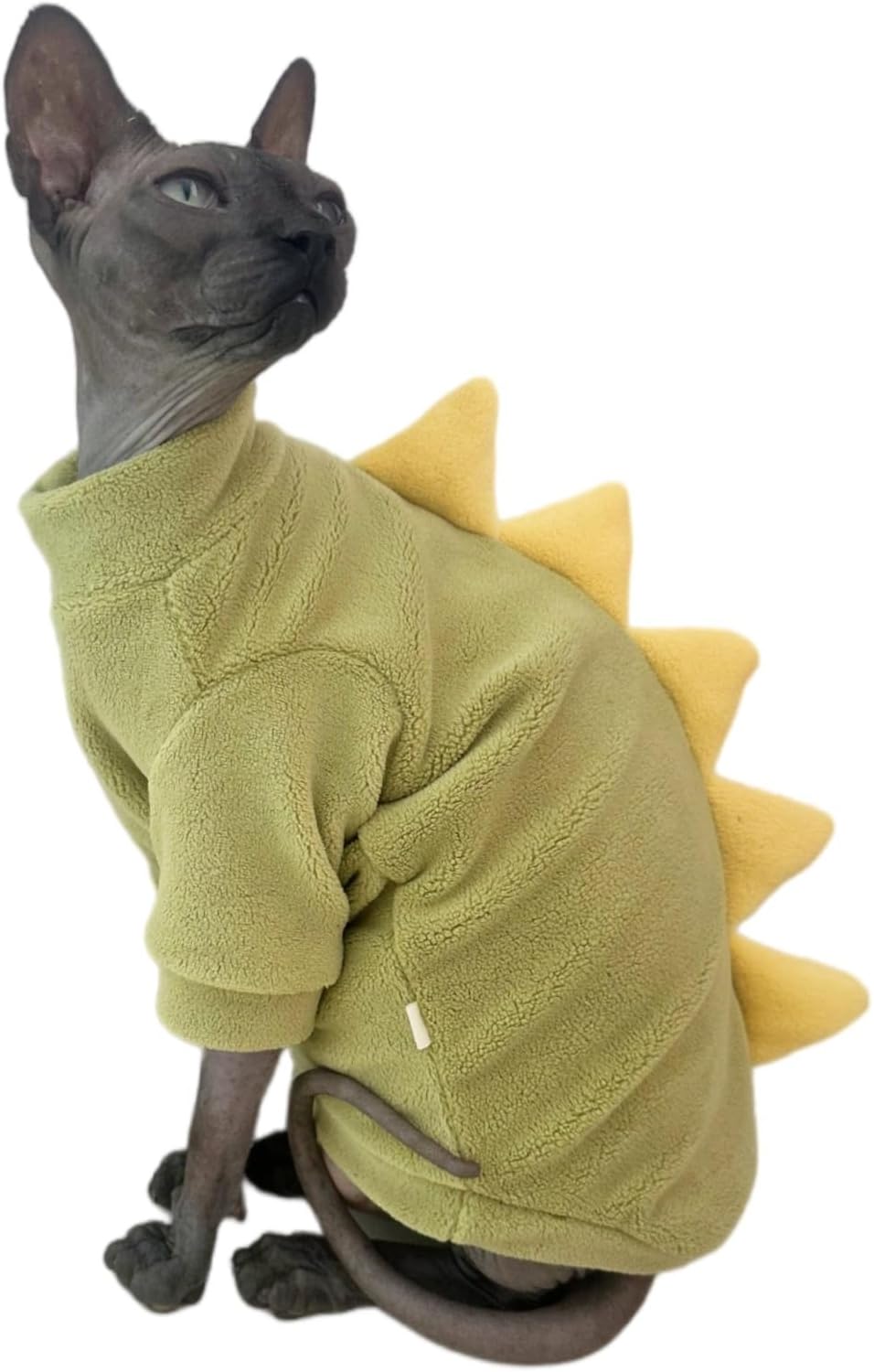 Sphynx cat wearing comfortable winter dinosaur jumpsuit