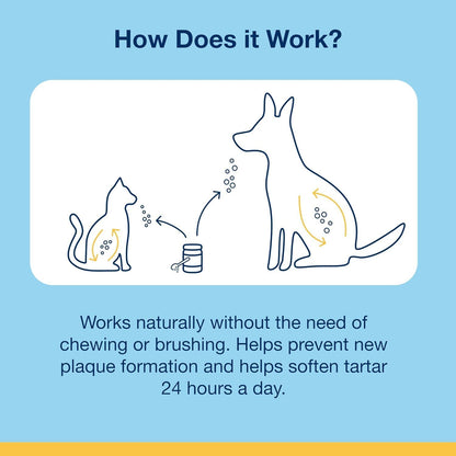 Authentic ProDen PlaqueOff dental powder for cats