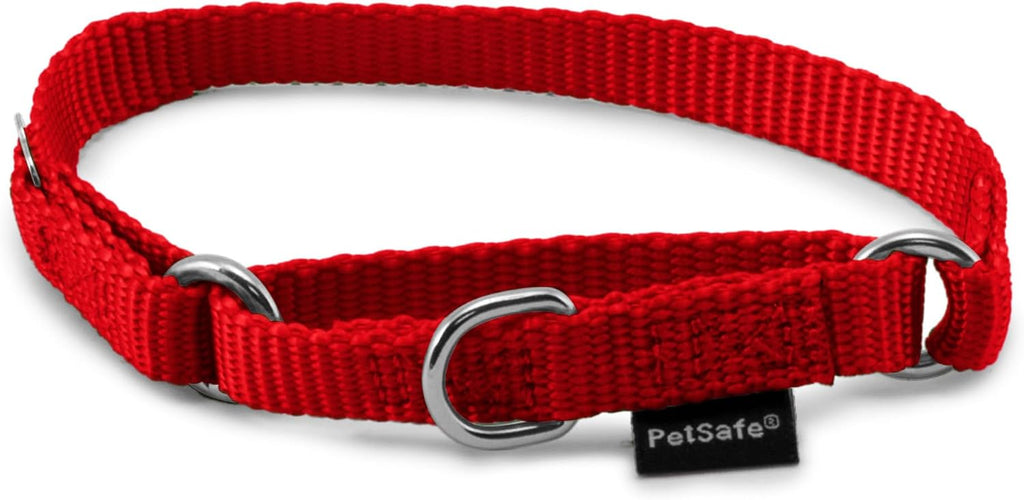 PetSafe Martingale Dog Collar Small, 3/4 Inch, Royal Blue - Image 9