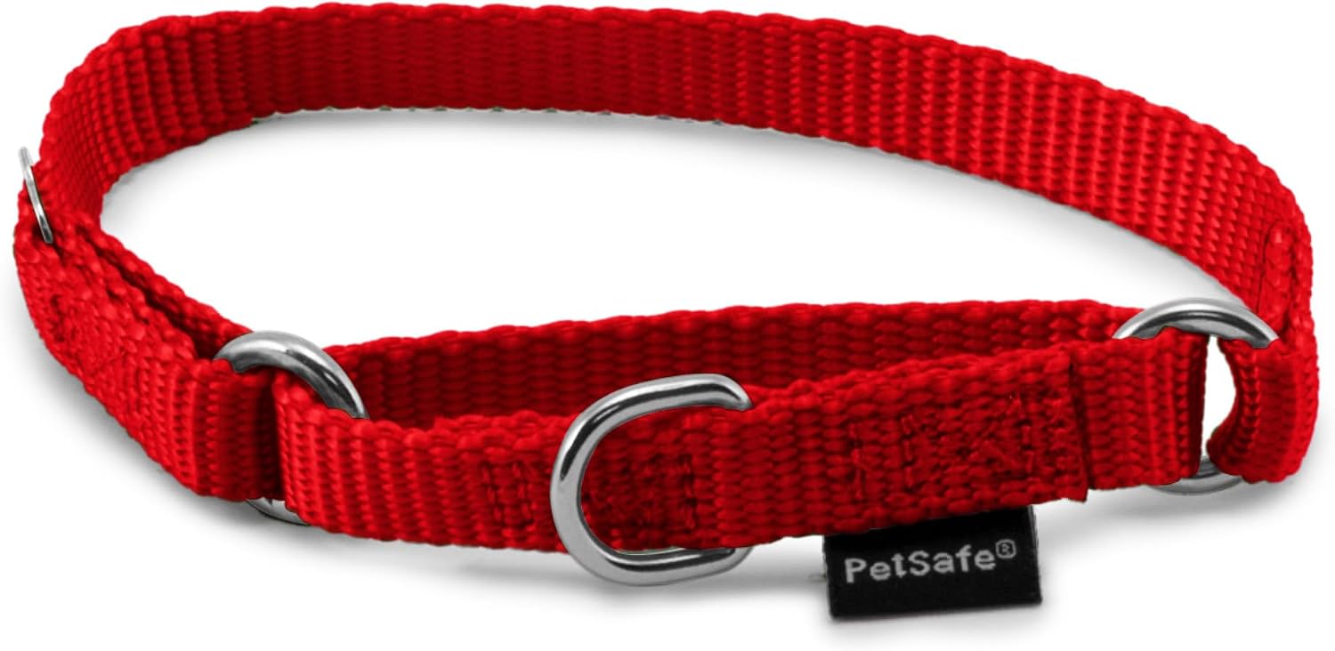 PetSafe Martingale Dog Collar Small, 3/4 Inch, Royal Blue - Image 9