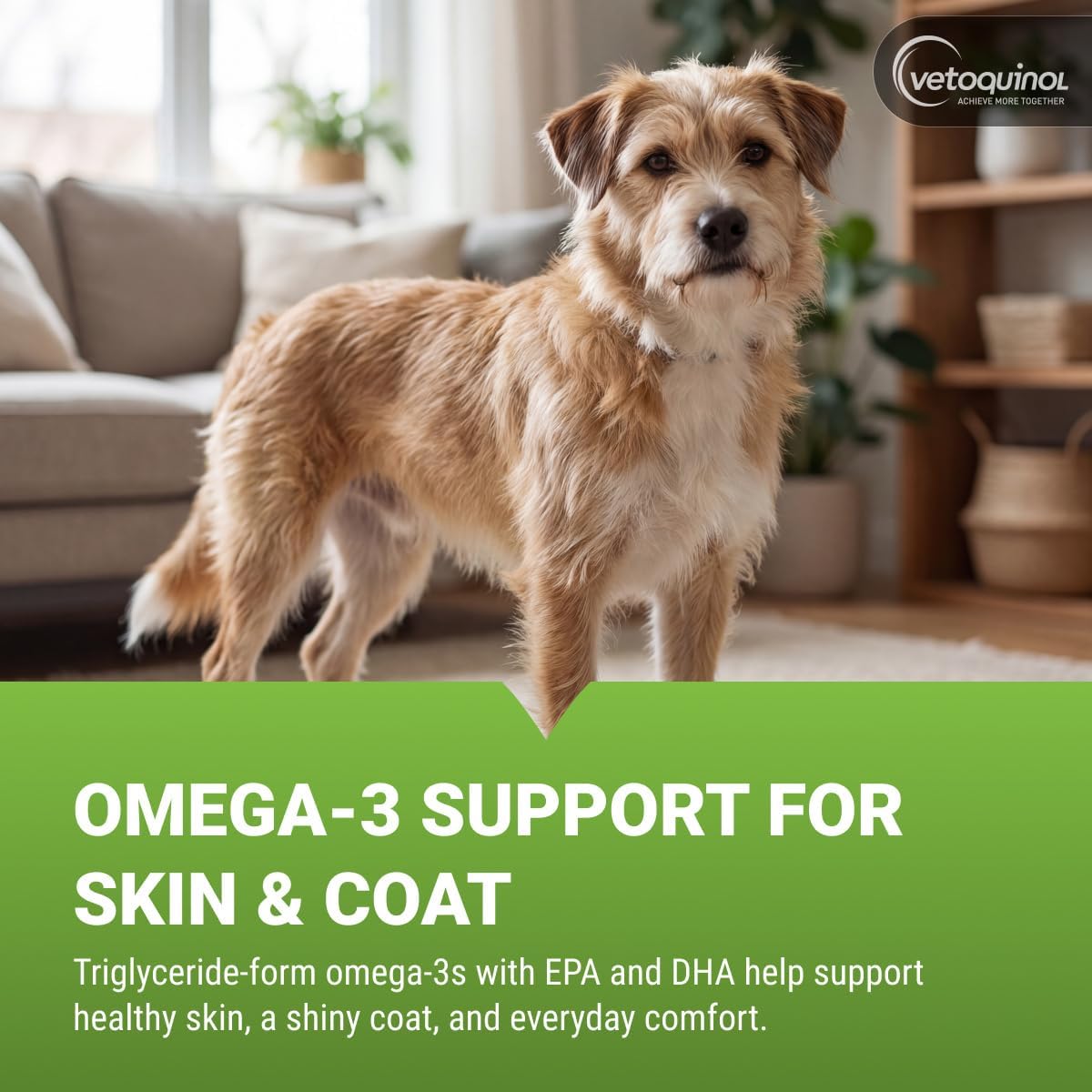 Authentic imported pet omega 3 fish oil liquid with pump dispenser
