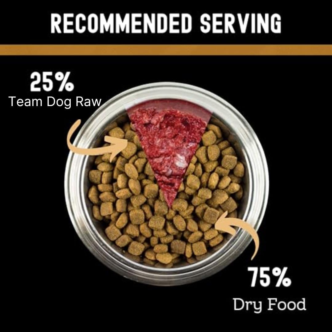 Frozen raw dog food roll showing beef and organ meat blend