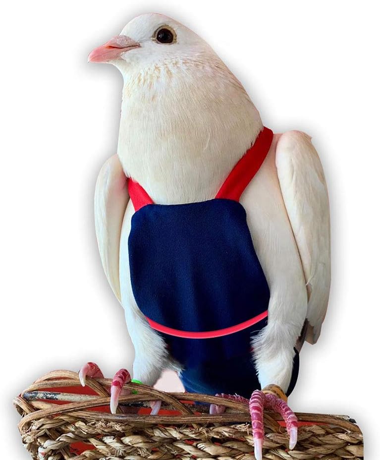 Bev's Bird Boutique Regular Flyper Adjustable Bird Diaper | Reusable, Washable Cloth | Comfort Fit for Parrot, Cockatiels, & Other Small Birds | Fashionable Avian Accessories, Dungaree Jeans, Size 7 - Image 10