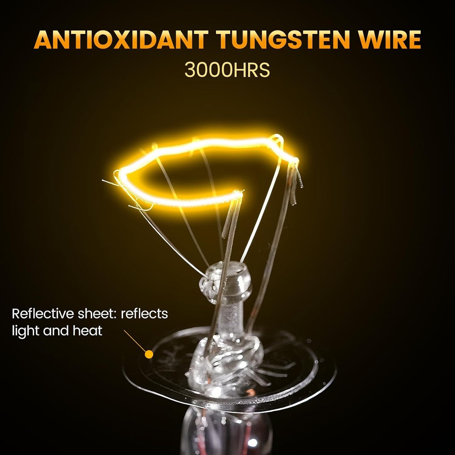 Terrarium dual heating lamp fixture overhead view on mesh cage