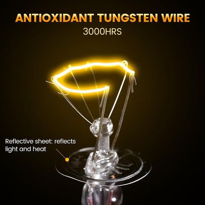 Terrarium dual heating lamp fixture overhead view on mesh cage