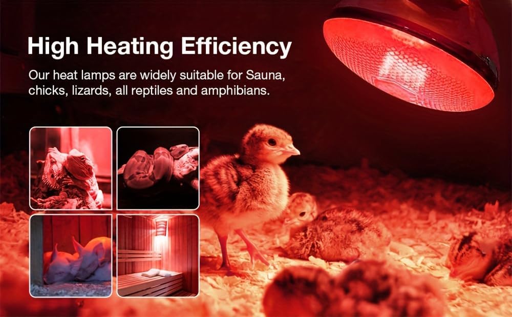 Heavy duty BR40 explosion proof red glass heat lamp bulb close up showing E26 base