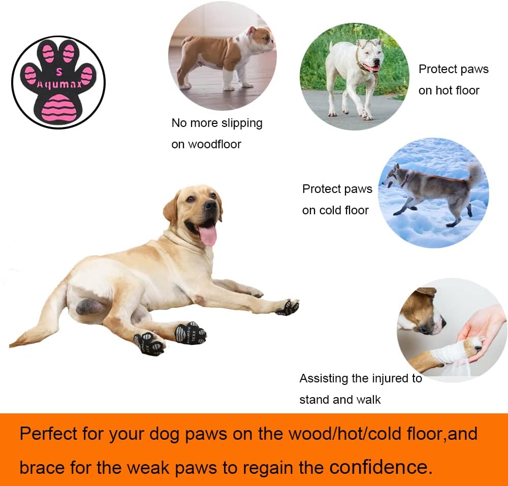 Application demonstration of Aqumax paw protector for dogs