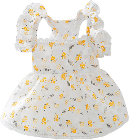 USA imported BIECWIAY princess pet clothing packaging presentation