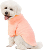 Kyaringtso winter dog coat pack premium stitching texture close up