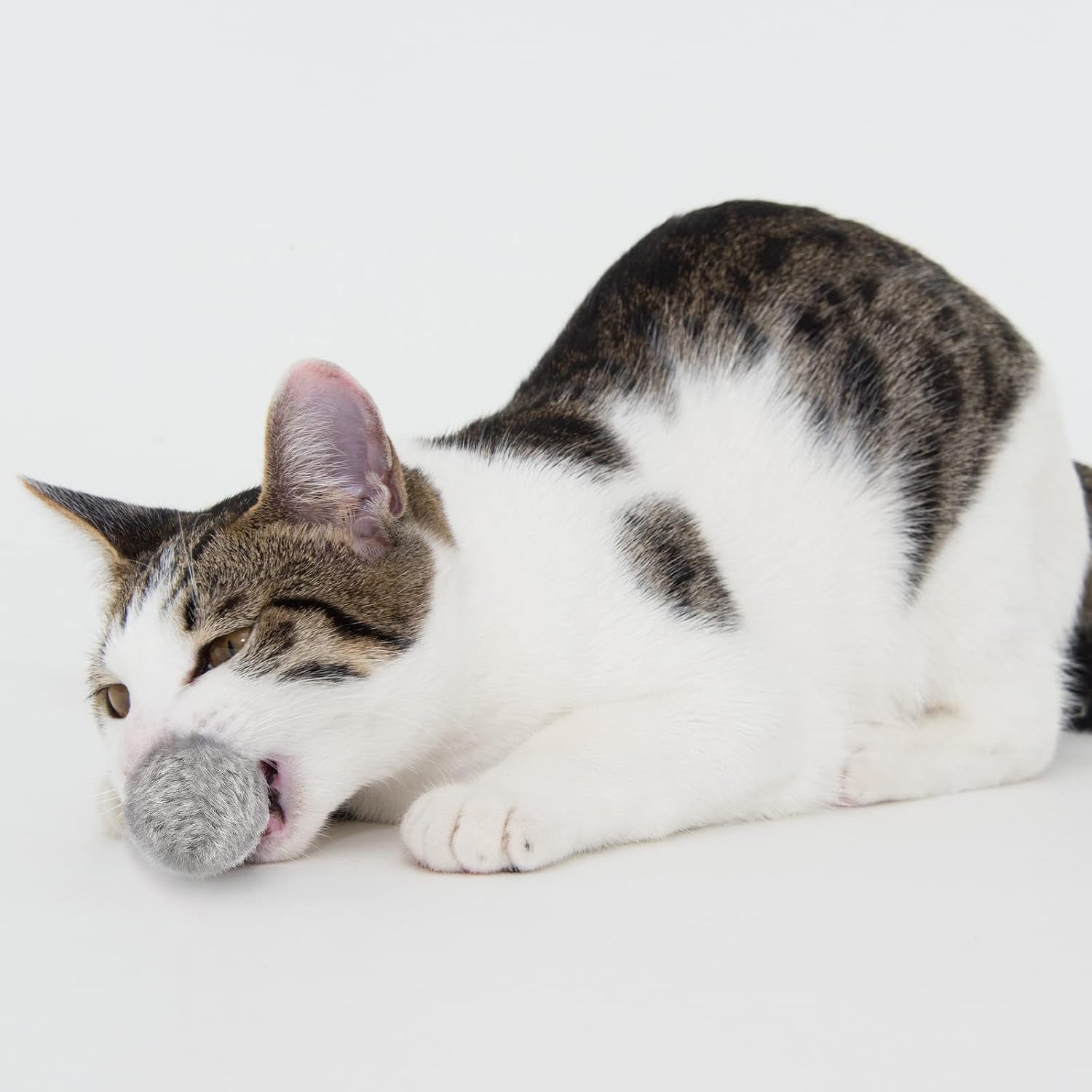 Leifide twelve pack durable pet fuzzy balls for Indian apartment cats