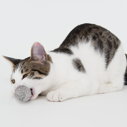Leifide twelve pack durable pet fuzzy balls for Indian apartment cats