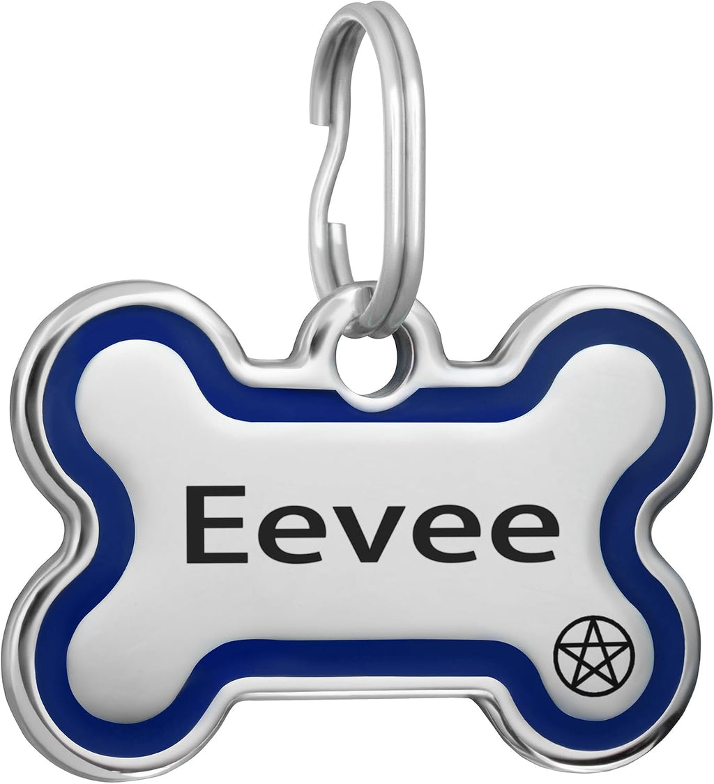 CoolDogs blue large pet name tag attached securely to a durable dog collar.