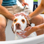 Professional USA imported dog conditioner for excessive shedding