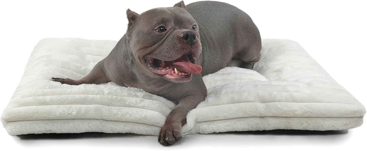 Washable indoor cat cushion drying flat to maintain its shape and plush feel.