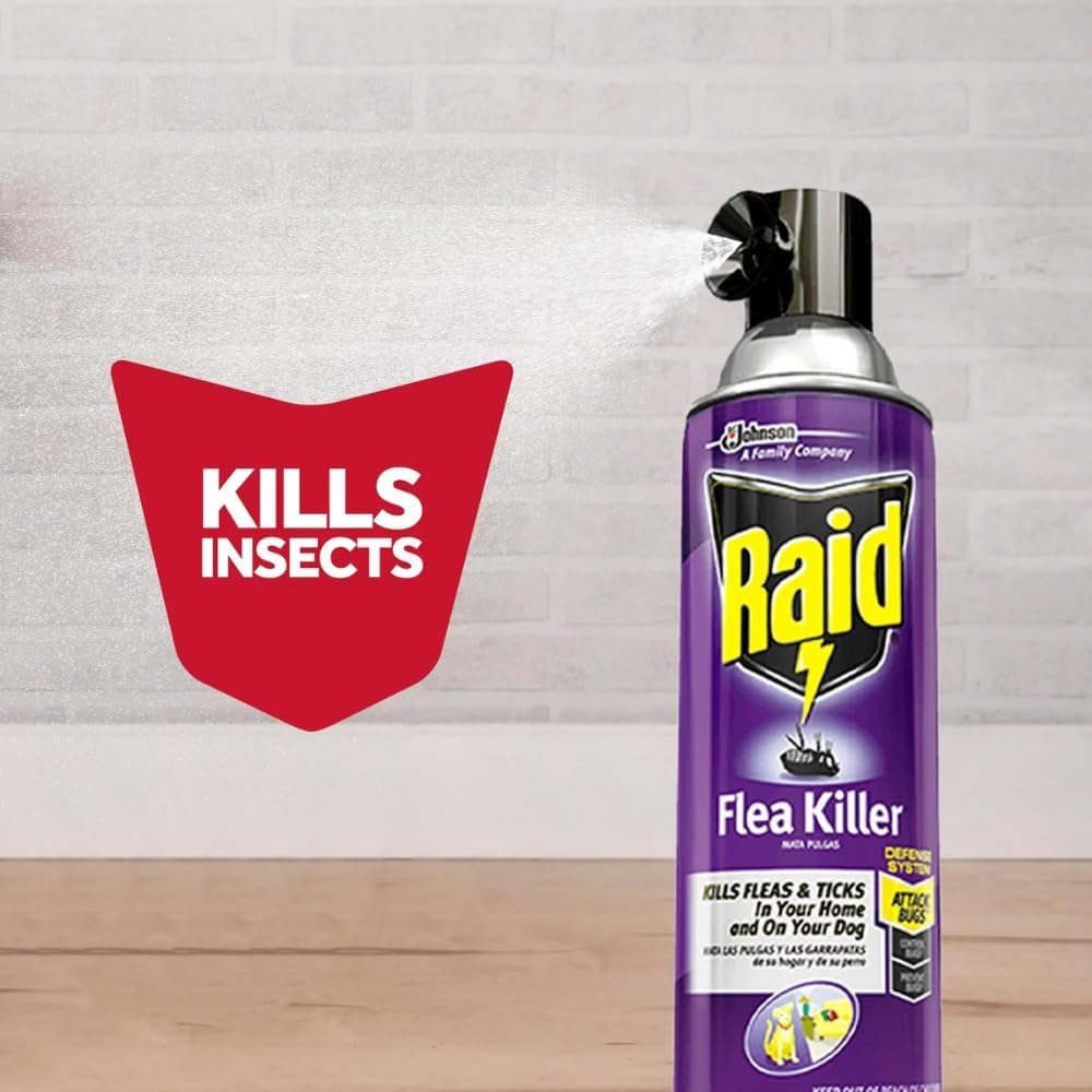 Pet resting area treated with Raid indoor flea control spray for ticks