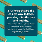 Small dog chewing Iheartdogs dental stick for tartar control