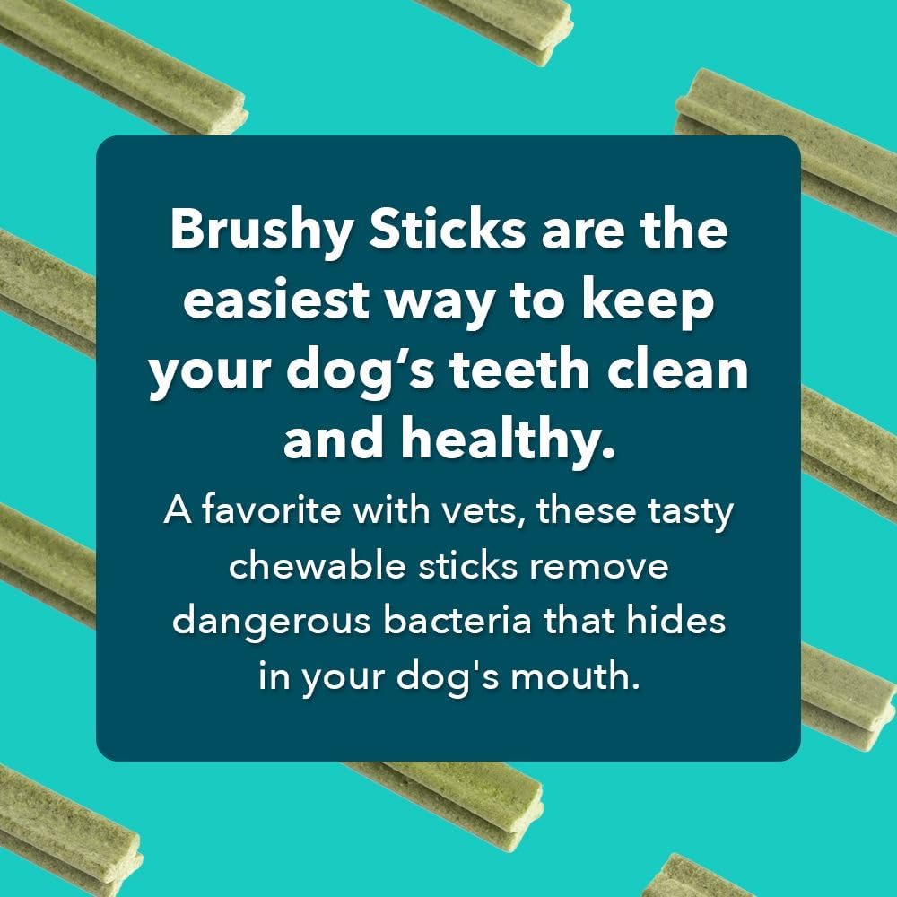 Small dog chewing Iheartdogs dental stick for tartar control