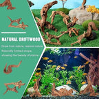 A pack of twenty small suzile natural driftwood sticks ideal for nano aquariums and shrimp habitats.