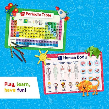 Simply Magic educational table mats set laid out on a dining surface showing human body and US map graphics