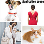 Delorigin pet collar pendants used as a keychain accessory