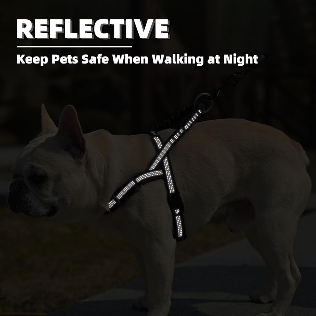 Front chest D-ring attachment point for dog leash